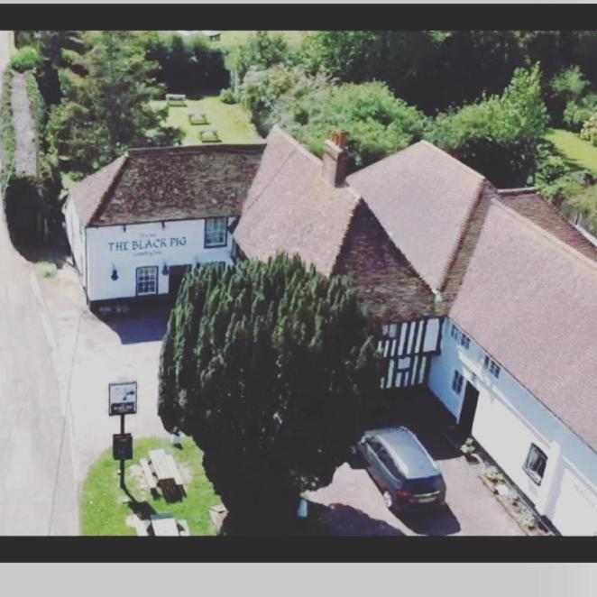 Staple The Black Pig Public House Bed & Breakfast エクステリア 写真